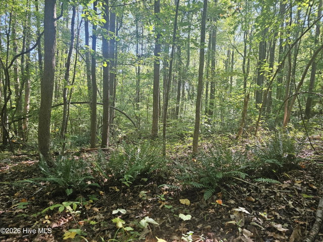 0 Off Old County Home Road, Nashville, NC 27856 — photo 2