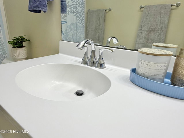 3047 Poplar Grove Drive, Greenville, NC 27858 — photo 92