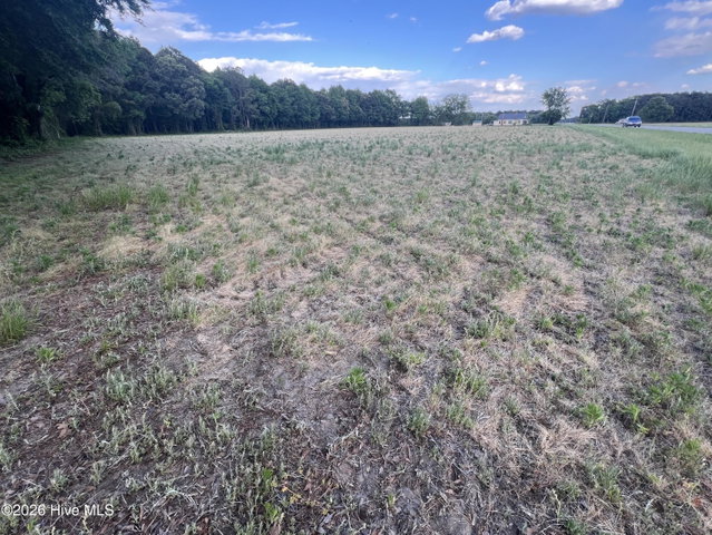 0 Tract 1 Nc 30, Stokes, NC 27884 — photo 17