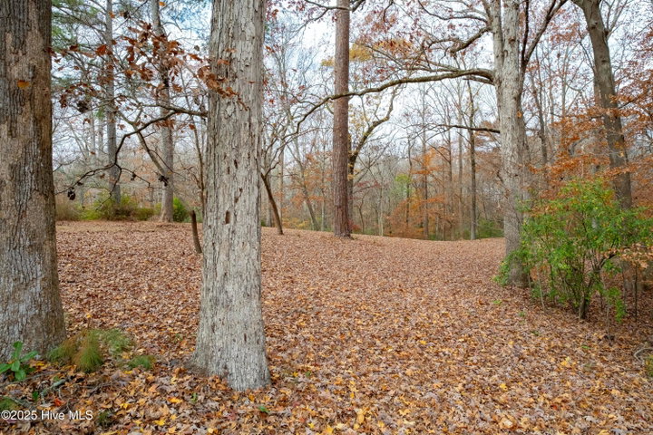 203 W Woodlawn Drive, Williamston, NC 27892 — photo 8