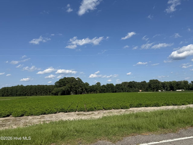 3085 Fire Dept Road, Williamston, NC 27892 — photo 20