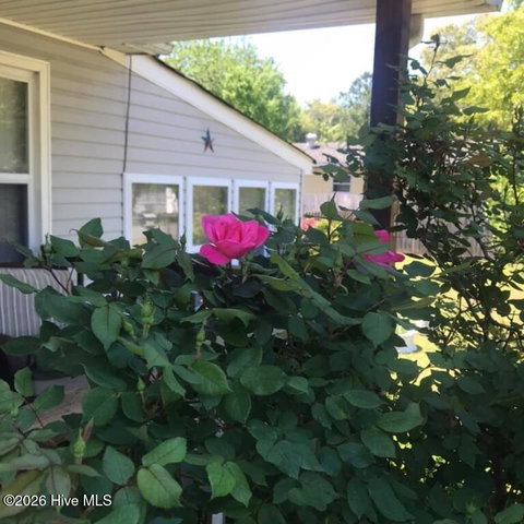213 Yeopim Trail, Edenton, NC 27932 — photo 21