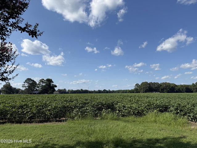 3085 Fire Dept Road, Williamston, NC 27892 — photo 16