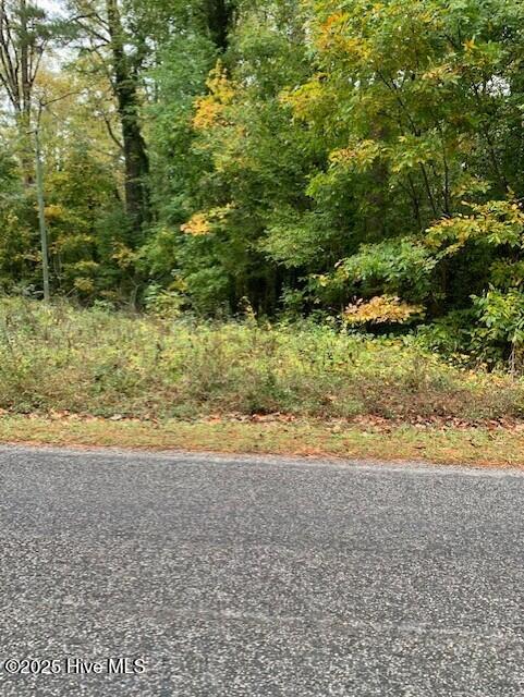 Tbd Swains Mill Road, Harrellsville, NC 27942 — photo 5