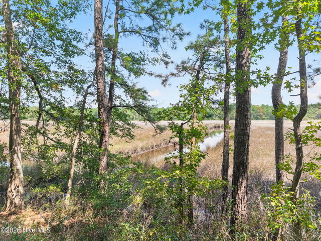3075 L-54 Valderama Way SE image