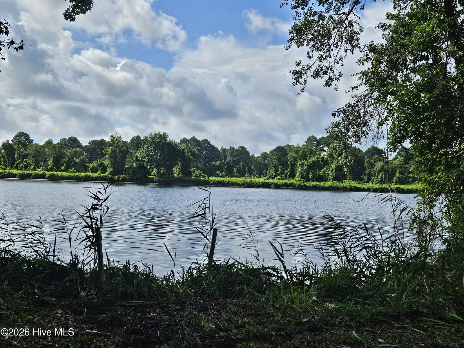 Wl33 E E Waterway Drive (Wl33) Drive, Belhaven, NC 27810 — photo 3