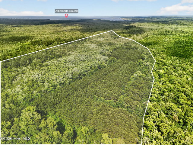 Tbd Pea Ridge Road, Roper, NC 27970 — photo 2