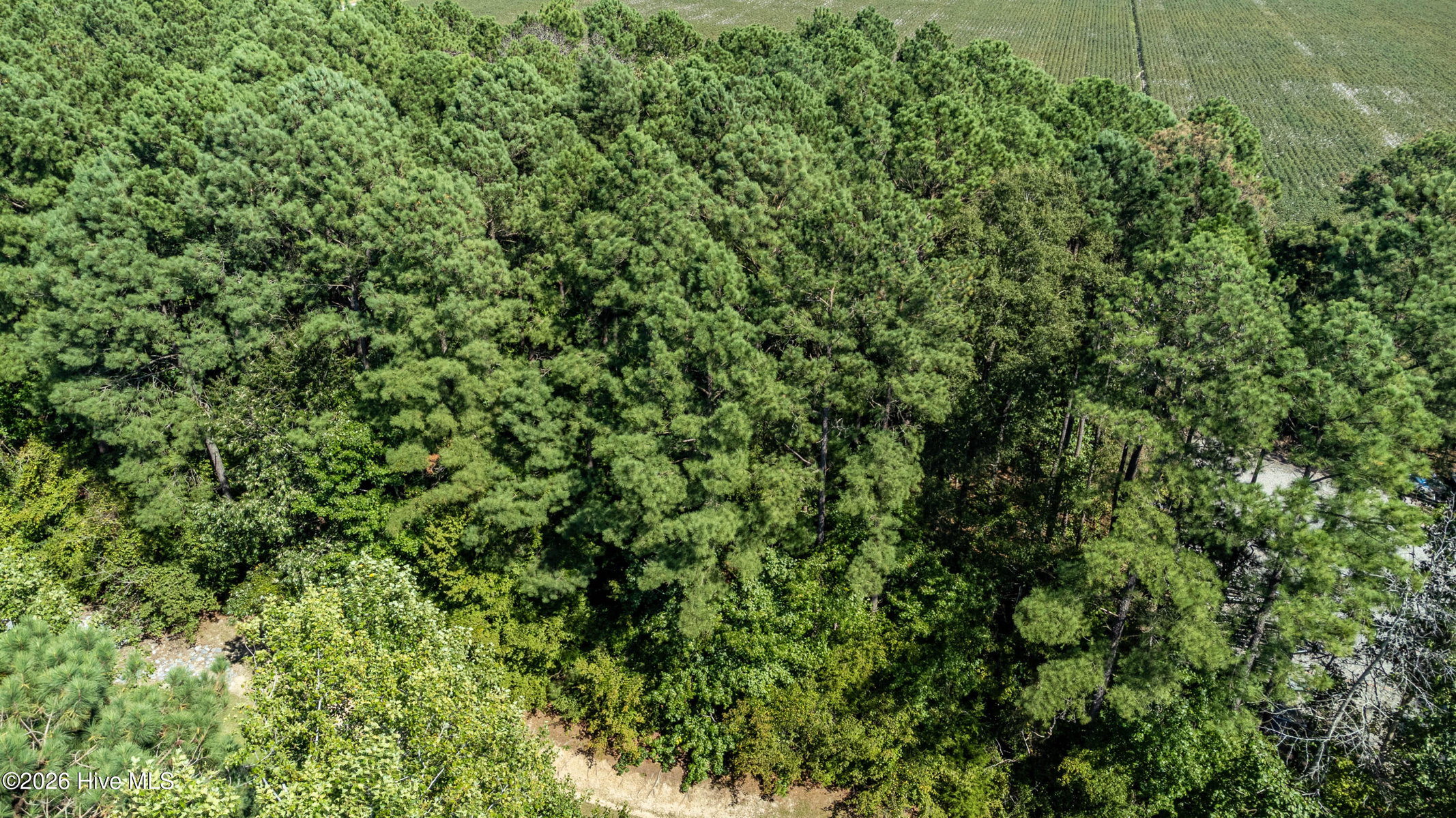 18 Suttons Landing Road, Hertford, NC 27944 — photo 5