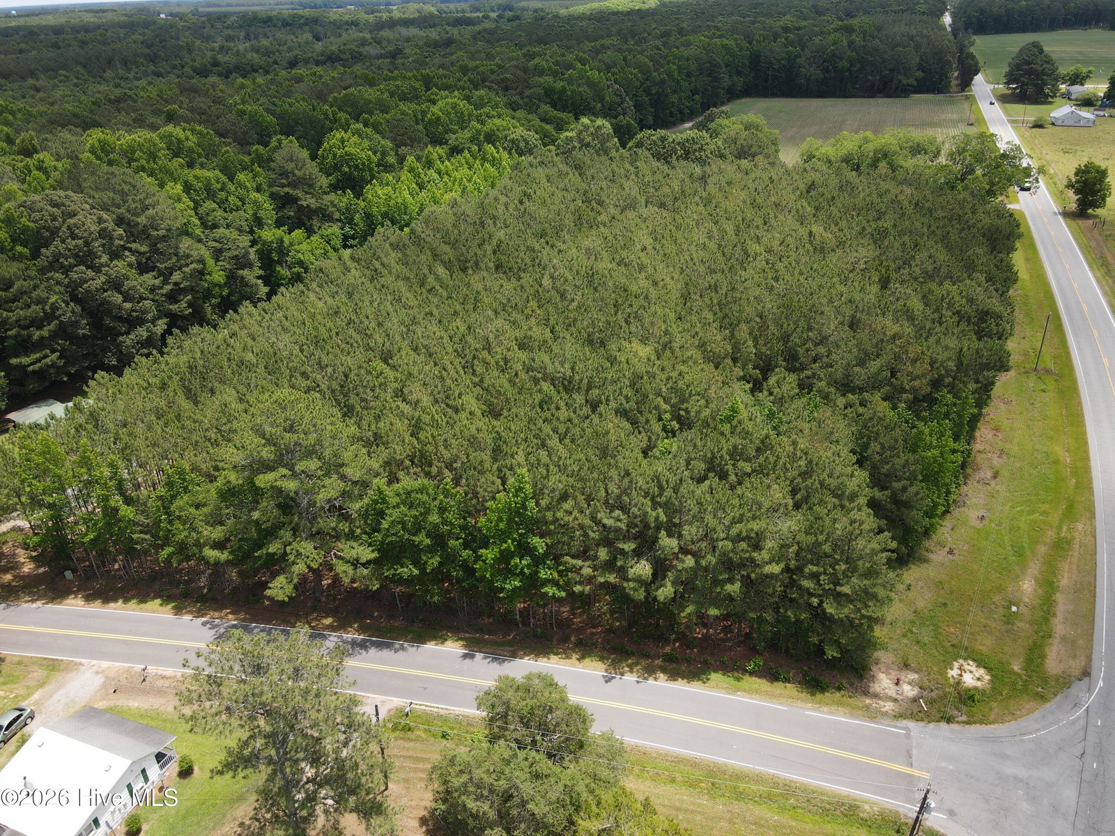 Tbd Lasker Golf Course Rd Road, Lasker, NC 27845 — photo 4