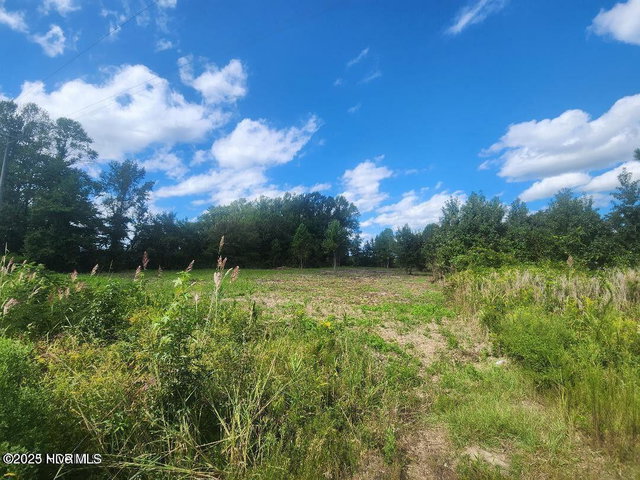 6943 1 Us 264 E, Greenville, NC 27834 — photo 6