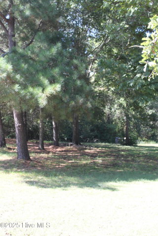 415 Cannons Ferry Road, Tyner, NC 27980 — photo 5