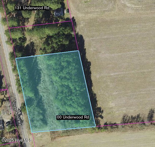 Tbd Underwood Road, Murfreesboro, NC 27855