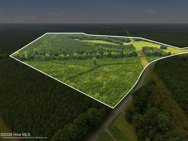 00 Gaskins Road, Grimesland, NC 27837 — photo 2