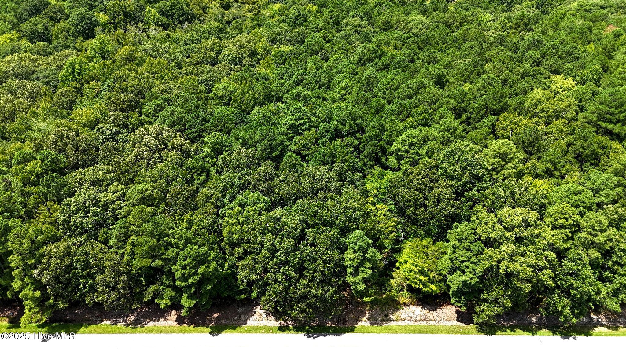 Tbd 4 Boat Ramp Road, New Hope, NC 27944 — main photo