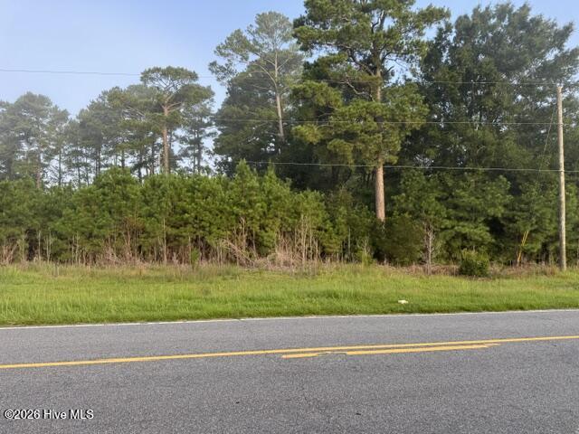 6076 Marvin Taylor Road, Grifton, NC 28530 — photo 3