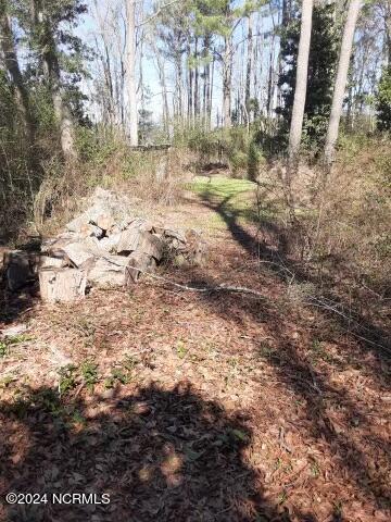 0 First Street, Ayden, NC 28513 — photo 8