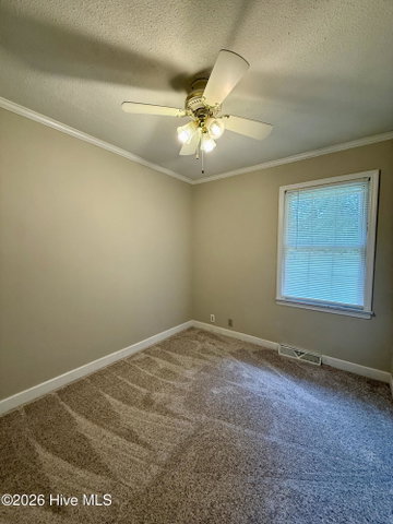 1191 Robin Lane, Jamesville, NC 27846 — photo 63