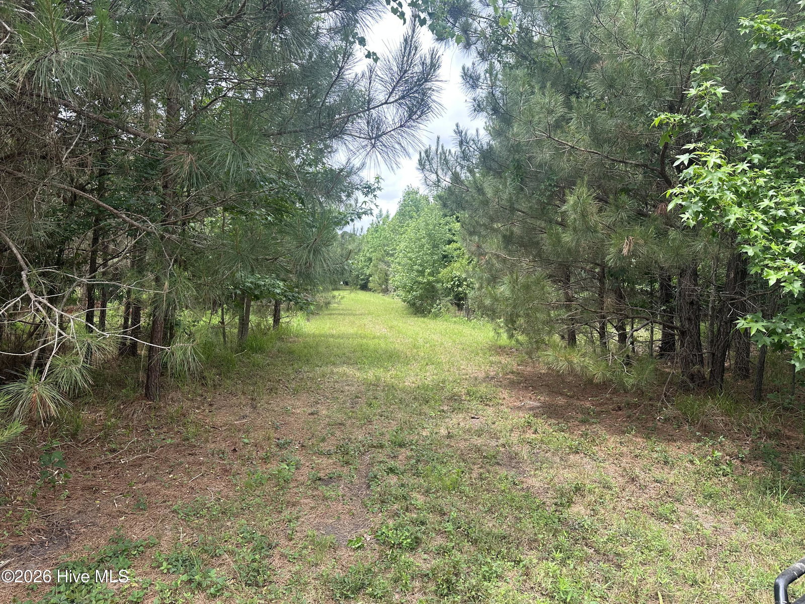 0 Colice Hall Lane, Ahoskie, NC 27910 — photo 5