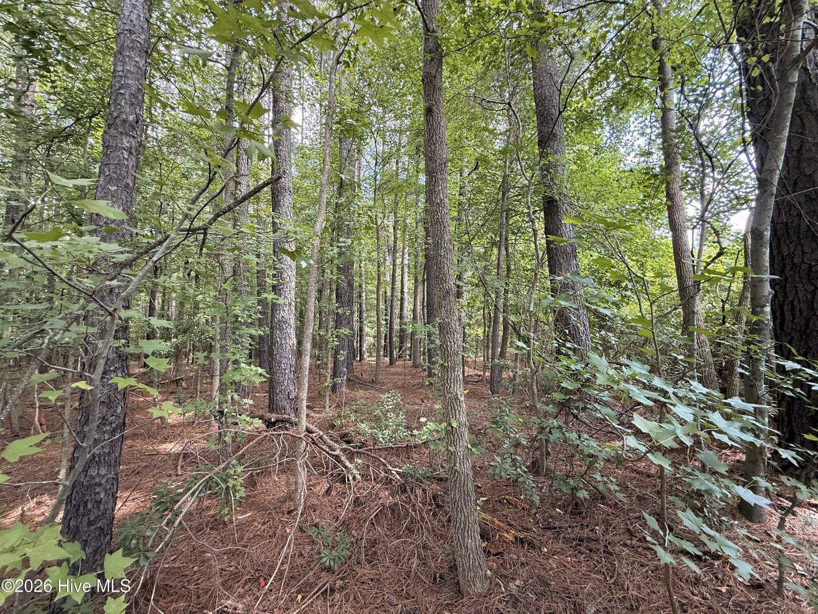 Lot 2b Holland Road, Greenville, NC 27834 — photo 5