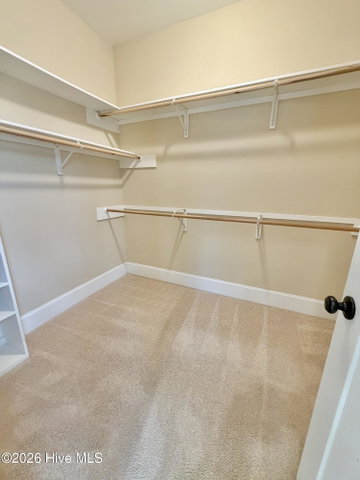 3047 Poplar Grove Drive, Greenville, NC 27858 — photo 57