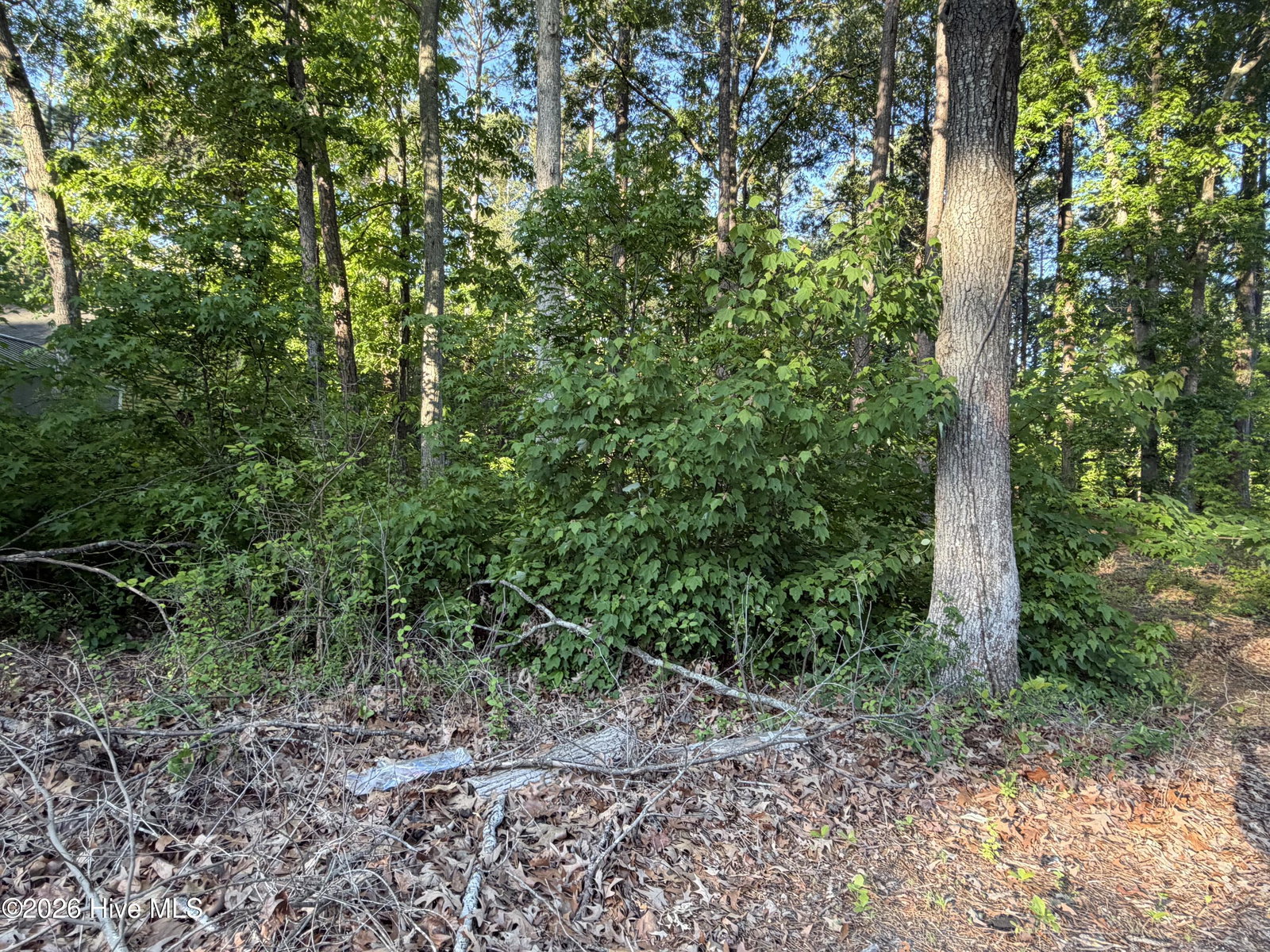 012-F 12 Holiday Island, Hertford, NC 27944 — photo 2