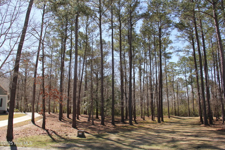 487 Hearthside Drive SE image