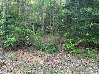 125 Mockingbird Lane, Hollister, NC 27844 — photo 3