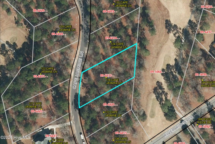 118 619 Cape Jasmine Lane image