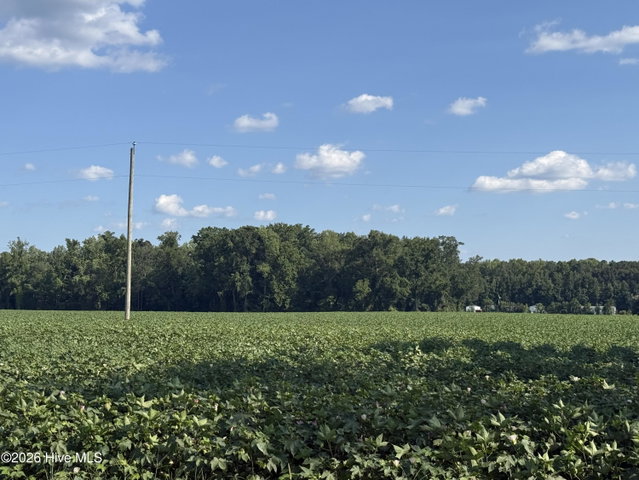 3085 Fire Dept Road, Williamston, NC 27892 — photo 12