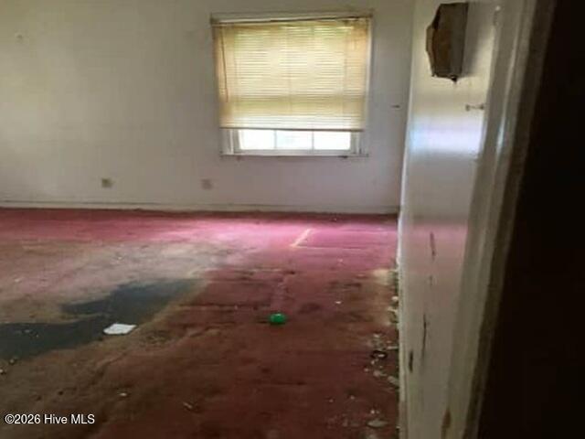 1806 S Pitt Street, Greenville, NC 27834 — photo 5