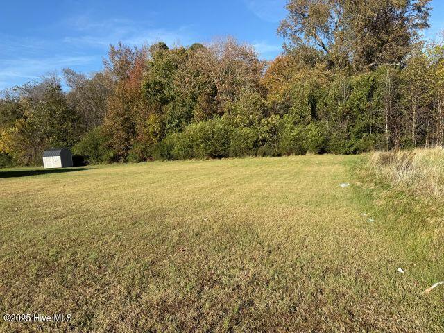 113 21 Pinewood Drive, Ahoskie, NC 27910 — photo 3
