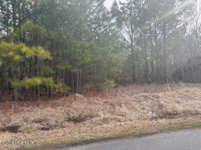 Tbd Carter Street, Woodland, NC 27897 — photo 3