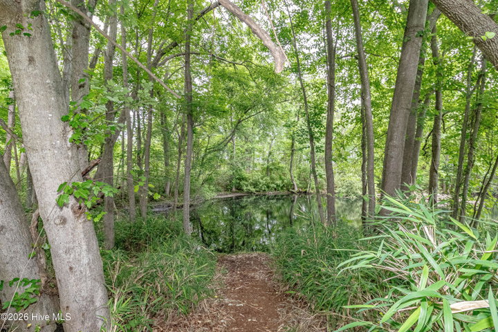 1866 Century Drive, Greenville, NC 27834 — photo 37