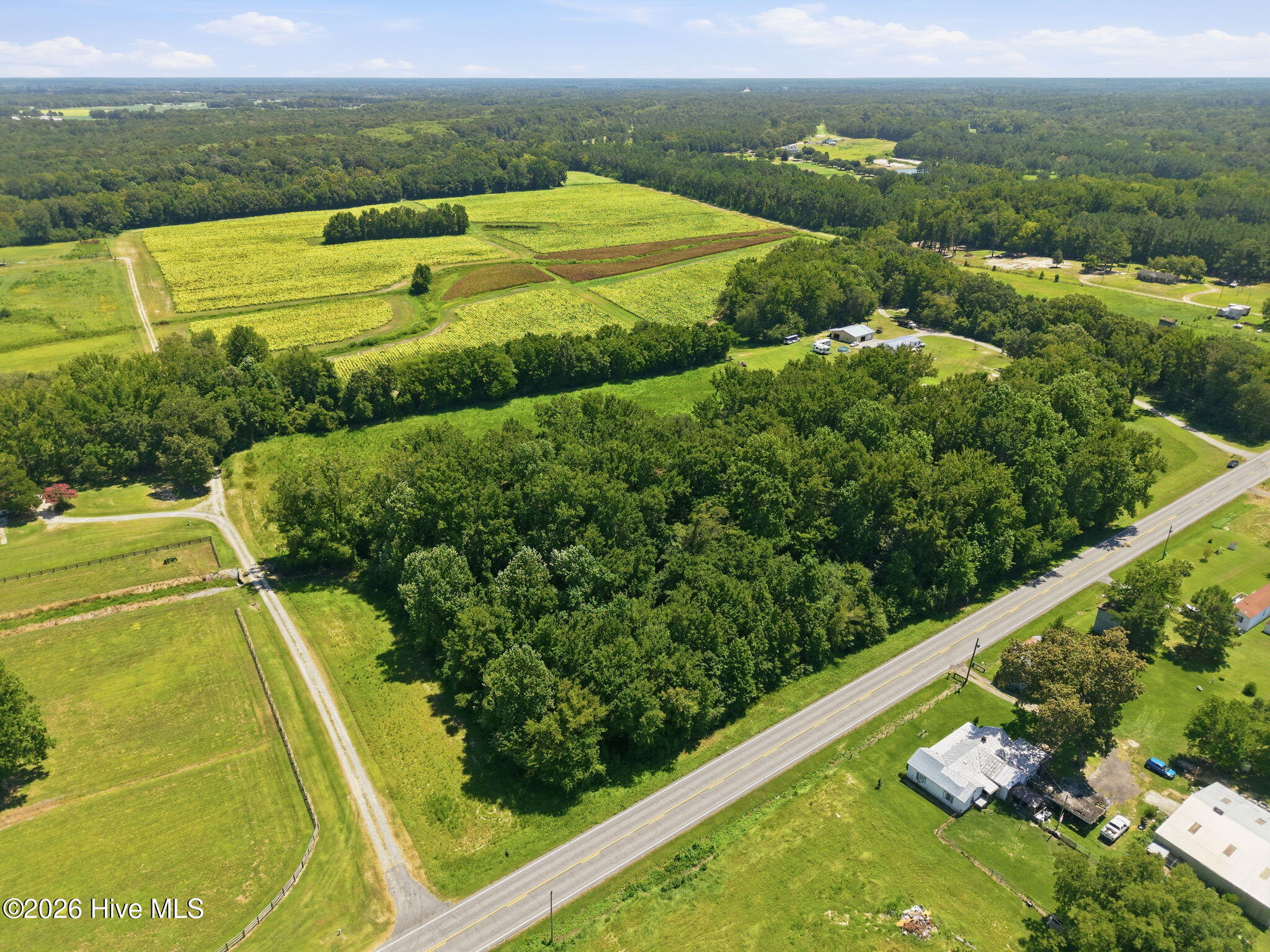 0 N Carolina 43, Macclesfield, NC 27852 — main photo