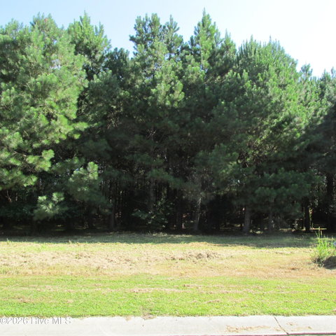 134 W Grandiflora Drive image