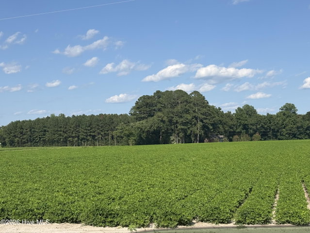 3085 Fire Dept Road, Williamston, NC 27892 — photo 19