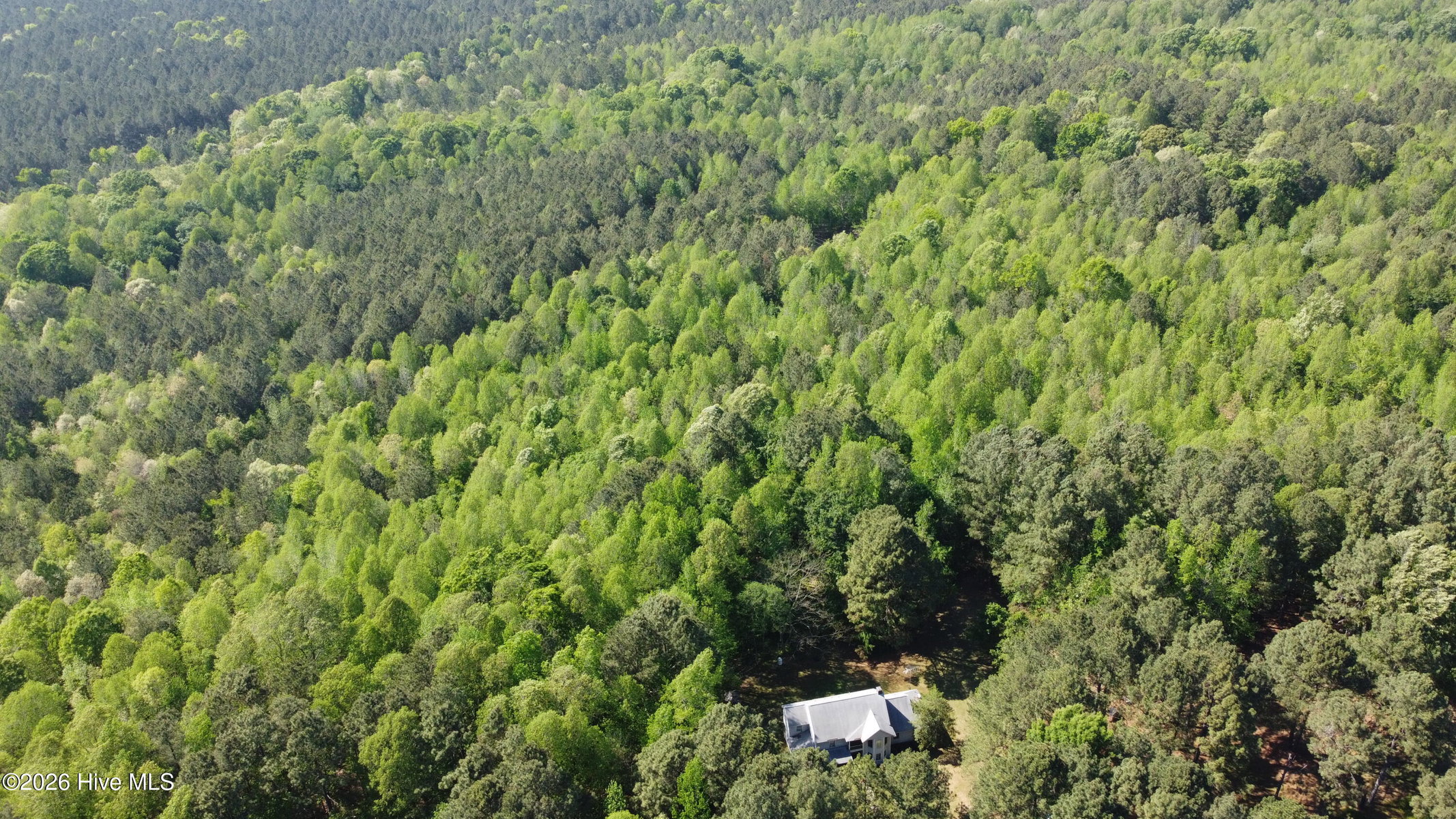 7818-1 McGregor Road, Nashville, NC 27856 — photo 2