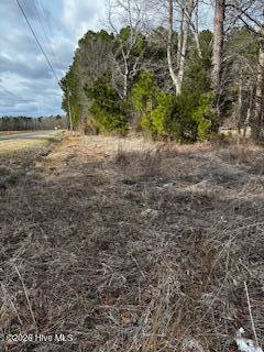 362 Sandy Cross Road, Belvidere, NC 27919 — photo 4