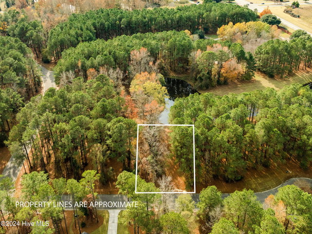 111 Loblolly Court image