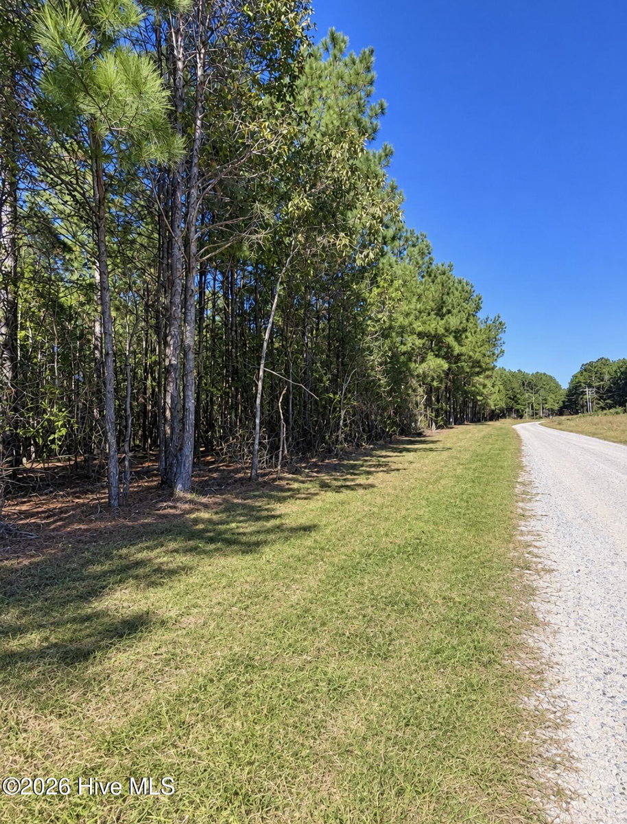 0 5 Default Street Lot 5, Scranton, NC 27875 — photo 3