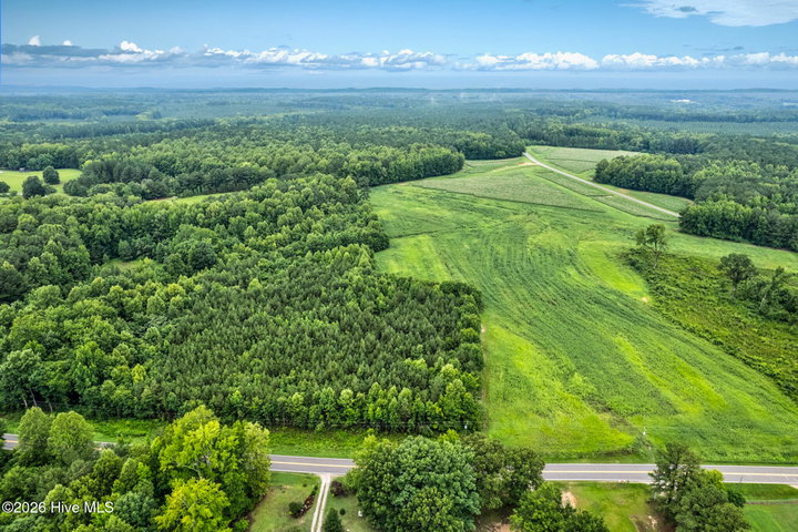 Lot 1 Avent Road, Whitakers, NC 27891 — photo 3