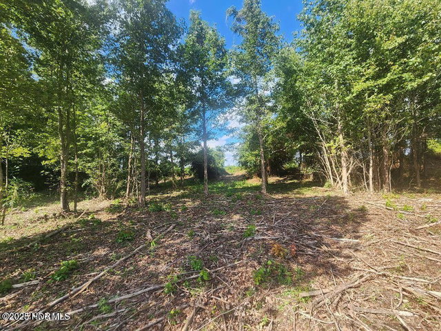 6943 1 Us 264 E, Greenville, NC 27834 — photo 9