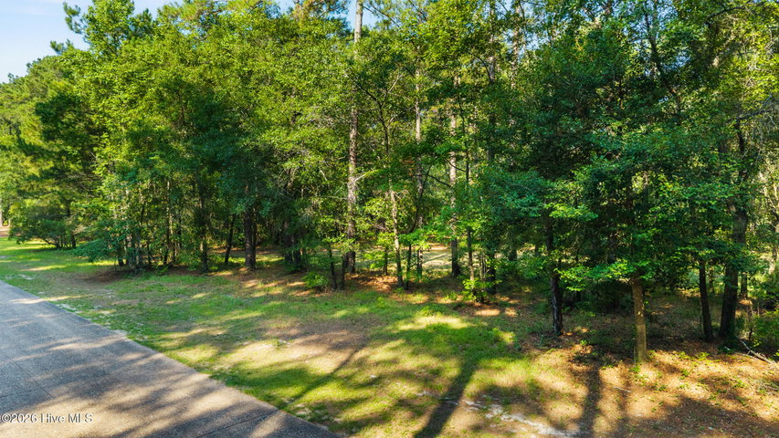 230 RS66 River Woods Drive image
