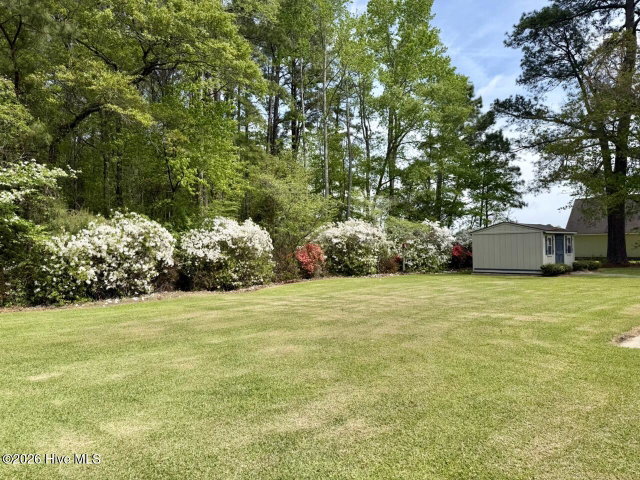 12445 U.S. 64, Williamston, NC 27892 — photo 24