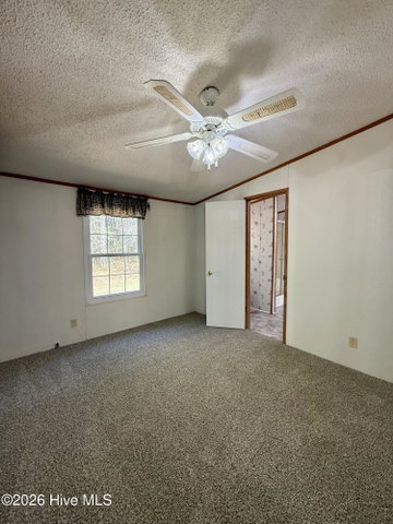 6484 Prison Camp Road, Williamston, NC 27892 — photo 53