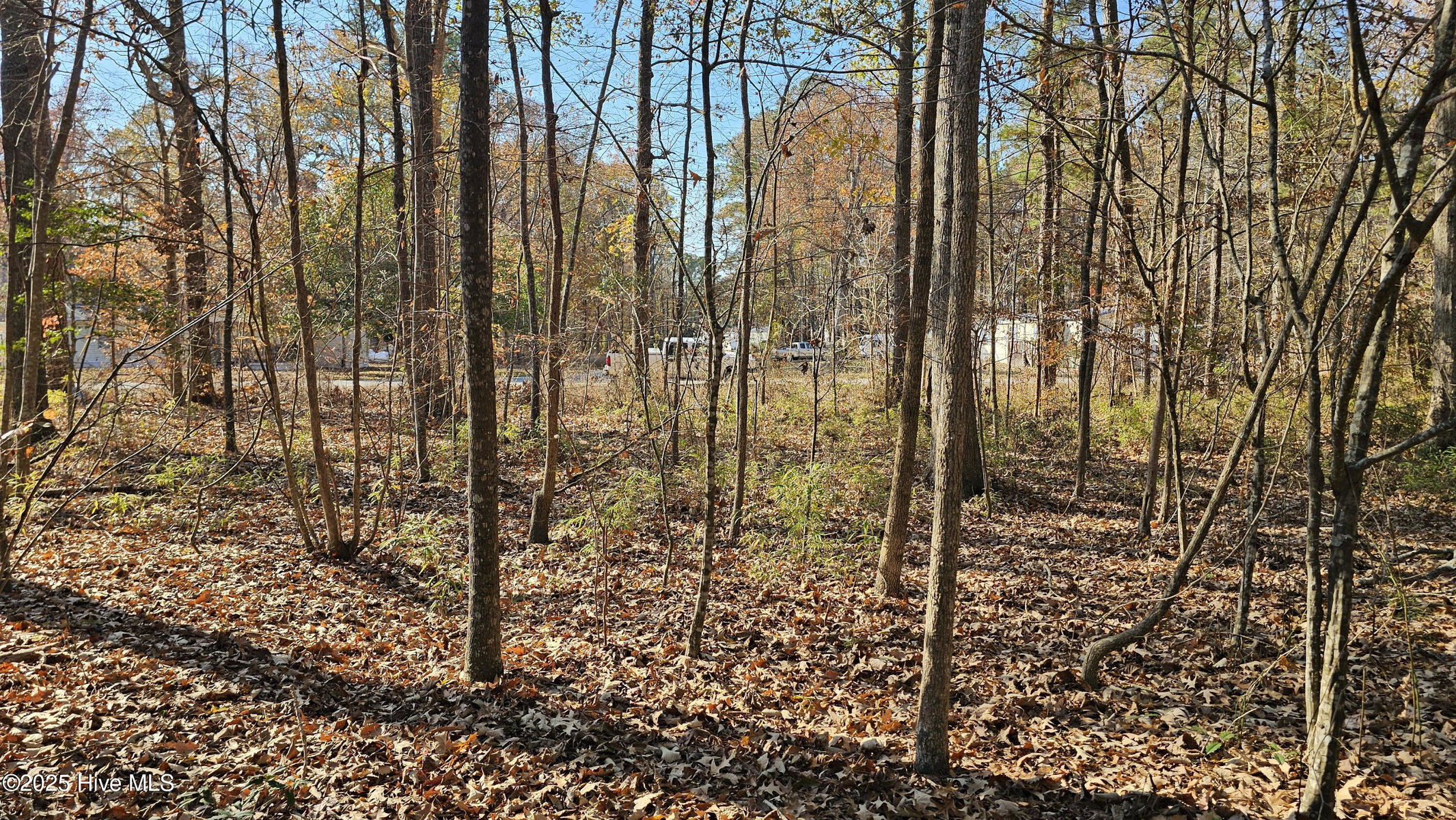 184 26F Shady Lane, Hertford, NC 27944 — photo 4