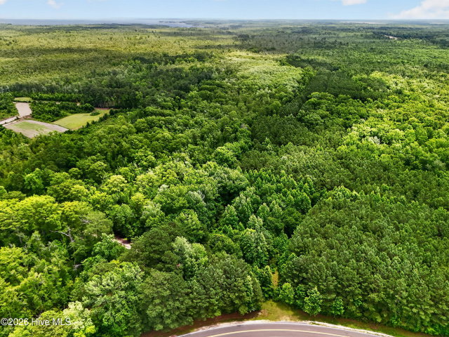 Tbd Pea Ridge Road, Roper, NC 27970 — photo 18