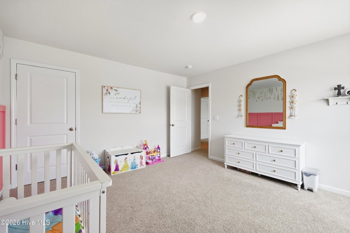 1199 Queensland Lane, Ayden, NC 28513 — photo 24