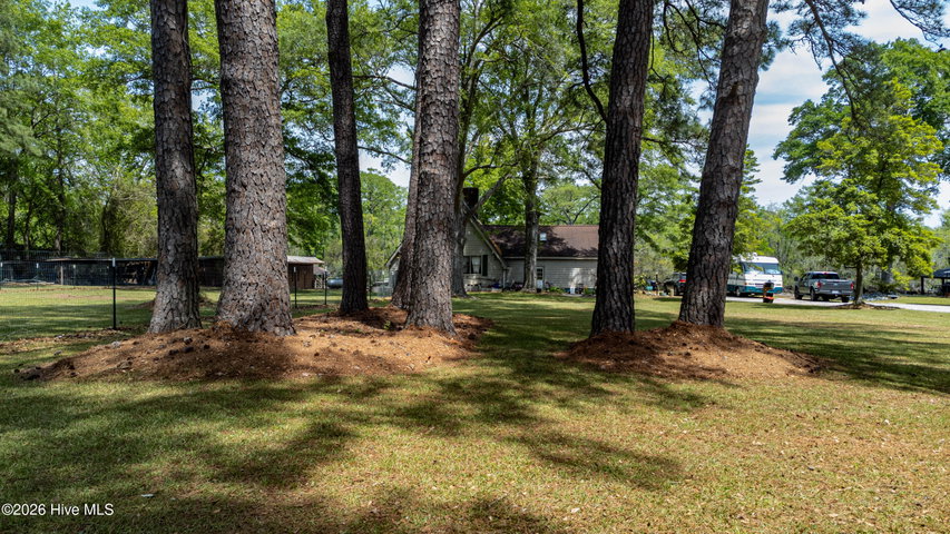 6655 Clarks Neck Road, Washington, NC 27889 — photo 39