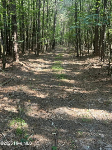 2364 Nc 102 E, Ayden, NC 28513 — photo 20
